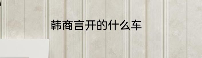 韩商言开的什么车
