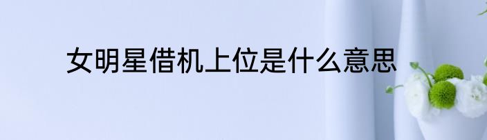 女明星借机上位是什么意思