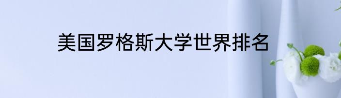 美国罗格斯大学世界排名
