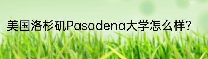 美国洛杉矶Pasadena大学怎么样?