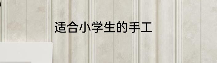 适合小学生的手工