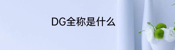 DG全称是什么