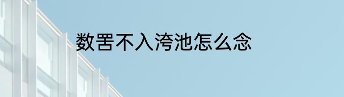 数罟不入洿池怎么念