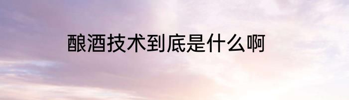 酿酒技术到底是什么啊