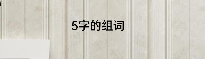 5字的组词