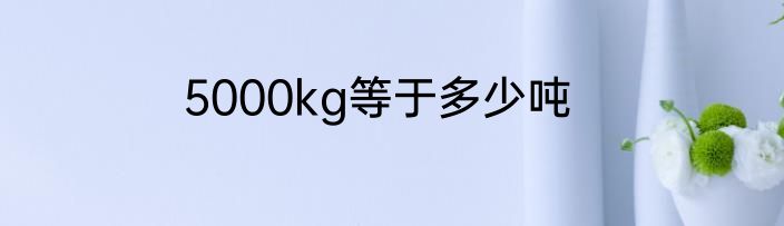 5000kg等于多少吨