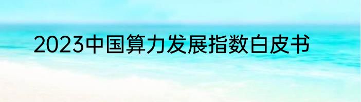 2023中国算力发展指数白皮书