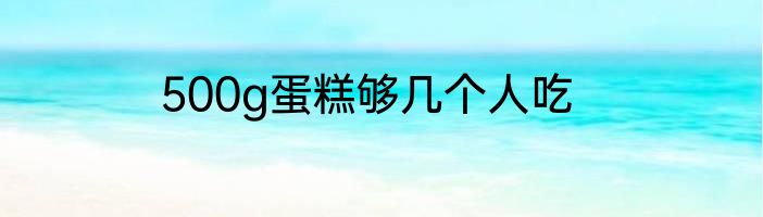500g蛋糕够几个人吃