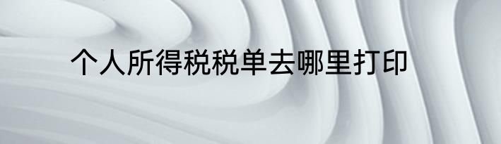 个人所得税税单去哪里打印