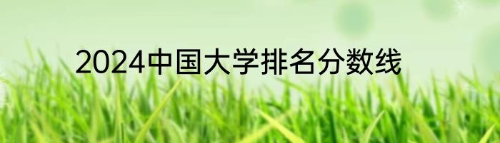 2024中国大学排名分数线