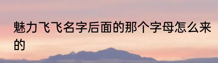 魅力飞飞名字后面的那个字母怎么来的