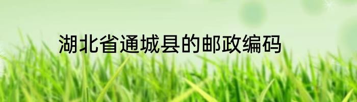 湖北省通城县的邮政编码