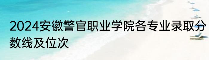 2024安徽警官职业学院各专业录取分数线及位次