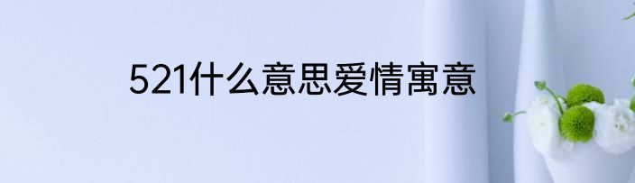 521什么意思爱情寓意