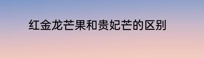 红金龙芒果和贵妃芒的区别