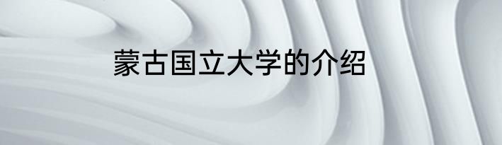 蒙古国立大学的介绍