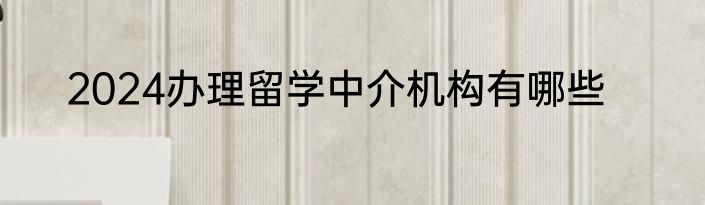 2024办理留学中介机构有哪些