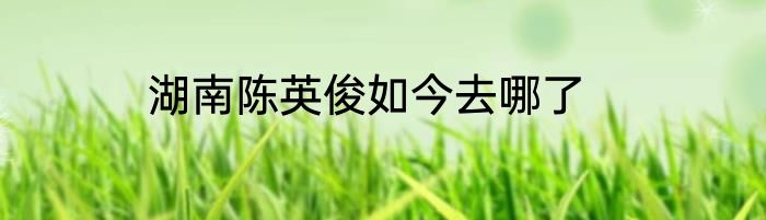 湖南陈英俊如今去哪了