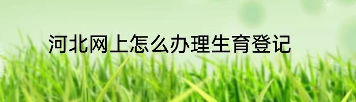 河北网上怎么办理生育登记