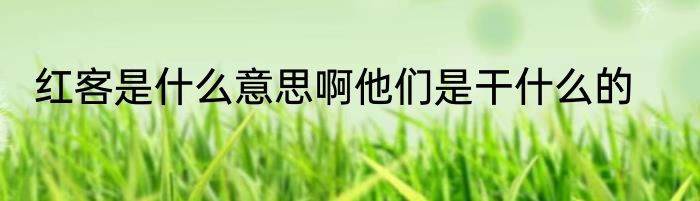 红客是什么意思啊他们是干什么的