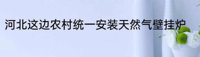 河北这边农村统一安装天然气壁挂炉