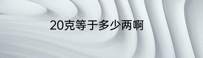 20克等于多少两啊