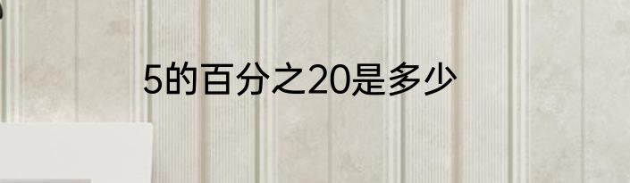5的百分之20是多少