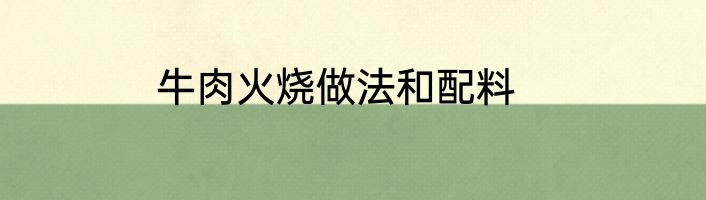 牛肉火烧做法和配料