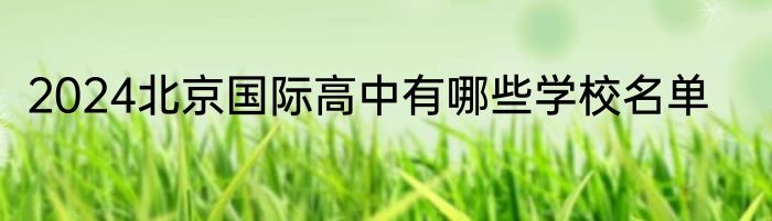 2024北京国际高中有哪些学校名单