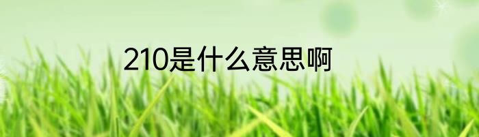 210是什么意思啊