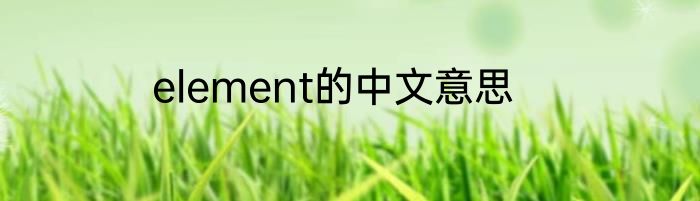 element的中文意思