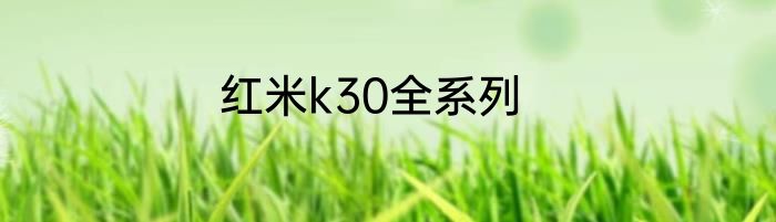 红米k30全系列