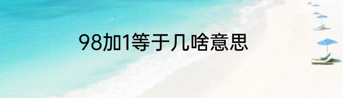 98加1等于几啥意思
