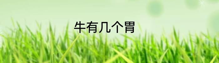 牛有几个胃