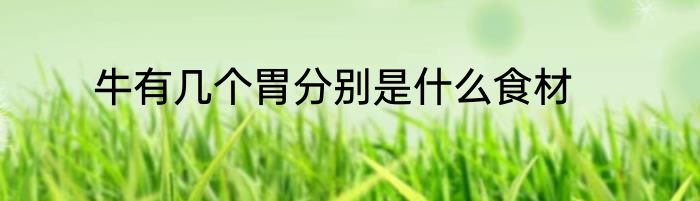 牛有几个胃分别是什么食材