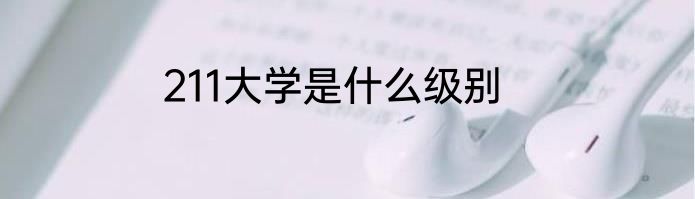 211大学是什么级别