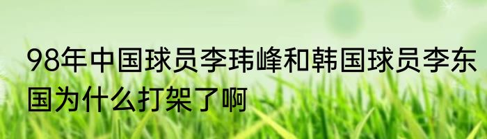 98年中国球员李玮峰和韩国球员李东国为什么打架了啊