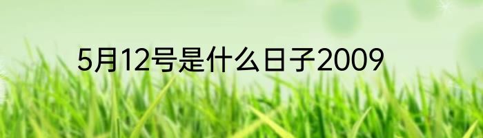 5月12号是什么日子2009