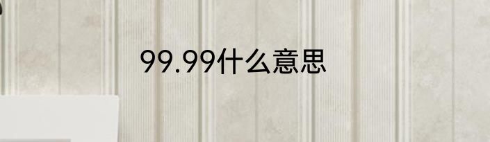 99.99什么意思