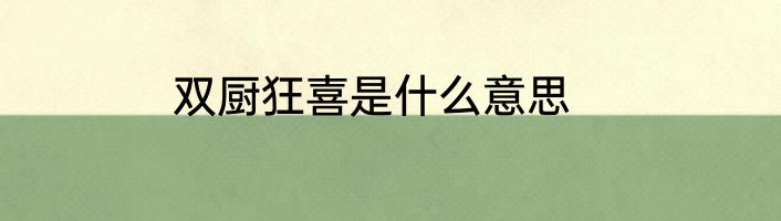 双厨狂喜是什么意思