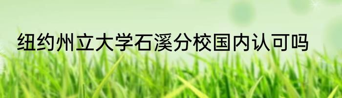 纽约州立大学石溪分校国内认可吗