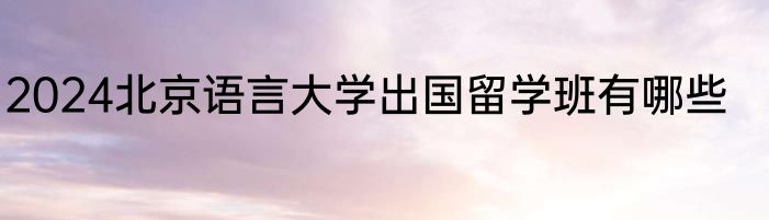 2024北京语言大学出国留学班有哪些