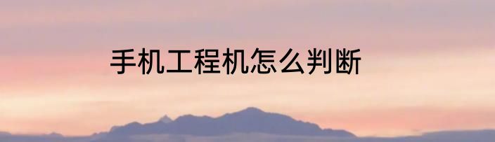 手机工程机怎么判断