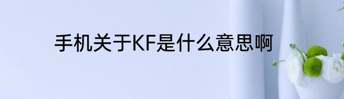 手机关于KF是什么意思啊