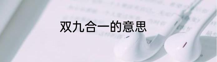 双九合一的意思