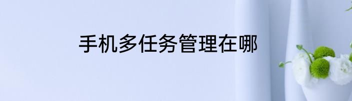 手机多任务管理在哪