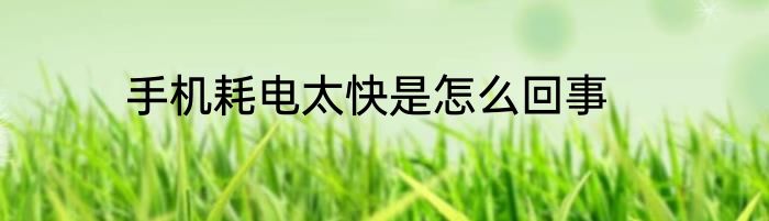 手机耗电太快是怎么回事