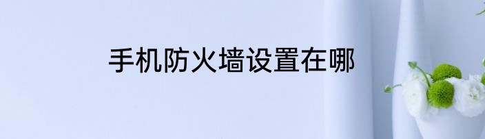 手机防火墙设置在哪