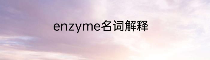 enzyme名词解释