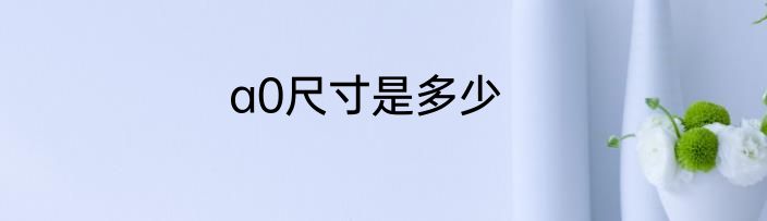 a0尺寸是多少